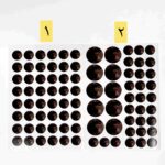 طلق طرح ماه