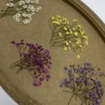 گل ژیپسوفیلا