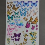 طلق طرح پروانه